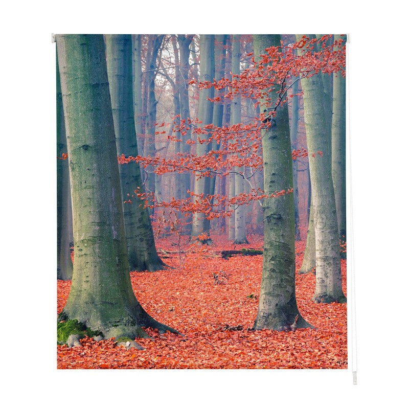 ESTOR ENROLLABLE ESTAMPADO PAISAJES